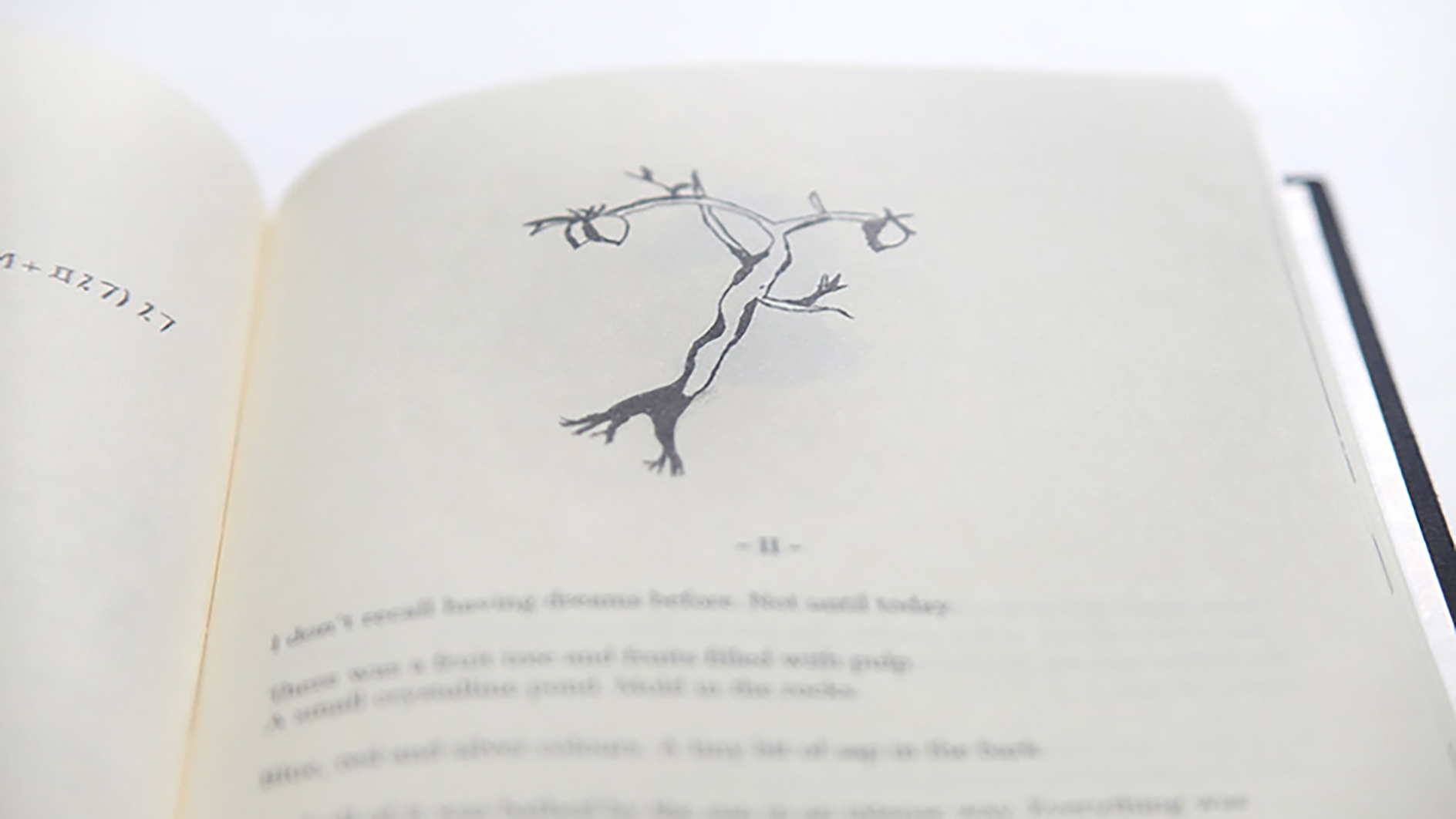 elcosmonauta_libro_15
